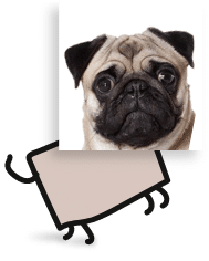 Mascotte 203 immo