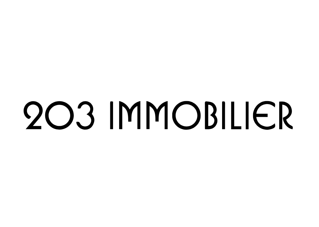 Logo de l'agence 203 Immobilier